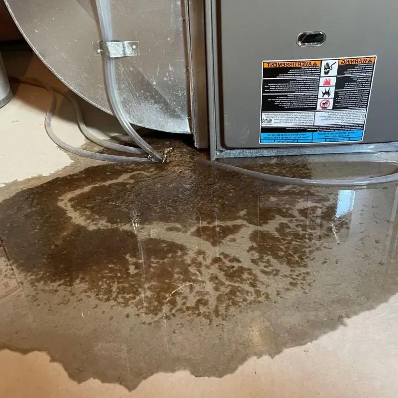 Pipe Burst and Leak Restoration in New Castle, DE
