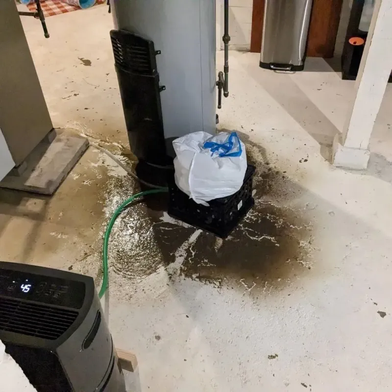 Sewage Backup Cleanup Service in New Castle, DE